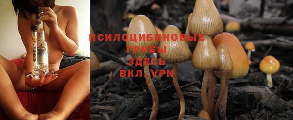 гидра Горнозаводск