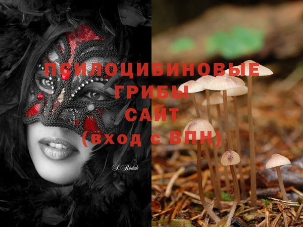 apvp Горняк