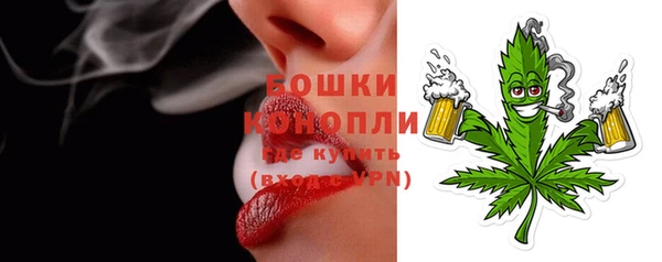 гидра Горнозаводск