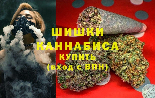 apvp Горняк