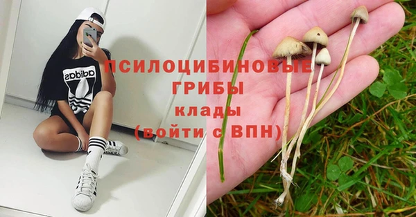 амфетамин Гусь-Хрустальный
