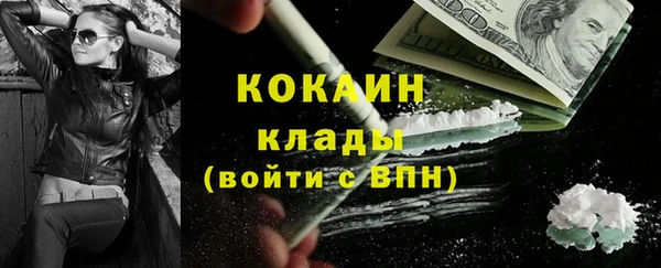 apvp Горняк