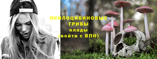гидра Горнозаводск