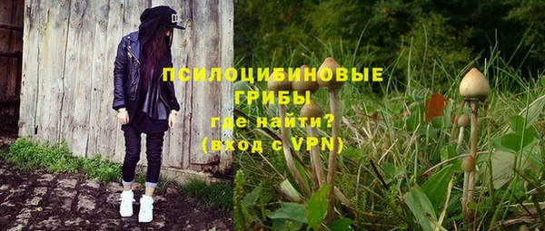 гидра Горнозаводск