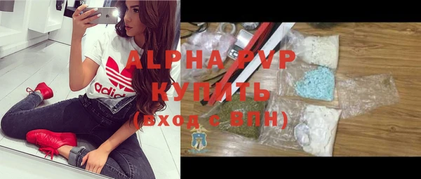 apvp Горняк