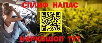 гидра Бузулук