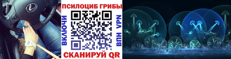 купить наркотик  Бугульма  Галлюциногенные грибы Psilocybe 