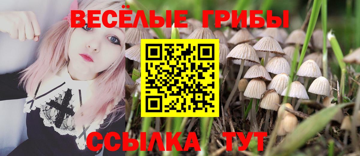 Галлюциногенные грибы ЛСД Бугульма